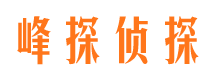 新源市婚外情调查